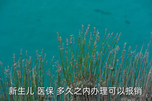 新生兒 醫(yī)保 多久之內辦理可以報銷