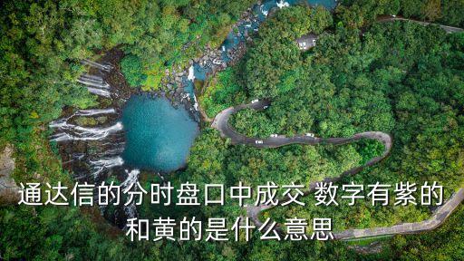 股票大紫單數(shù)字盤語,股票出現(xiàn)很多一樣數(shù)字的賣單