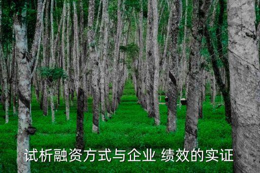 試析融資方式與企業(yè) 績(jī)效的實(shí)證