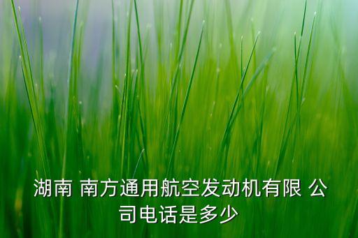  湖南 南方通用航空發(fā)動(dòng)機(jī)有限 公司電話是多少