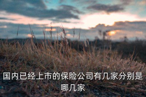 國內已經上市的保險公司有幾家分別是哪幾家