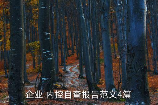 企業(yè) 內控自查報告范文4篇
