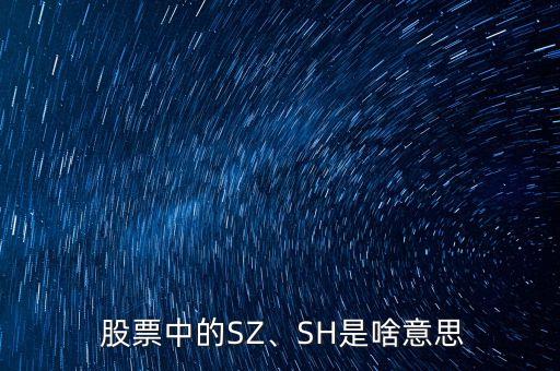 sz是什么股票,000001sz是什么股票