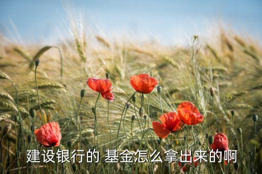 建設(shè)銀行個人網(wǎng)上銀行基金贖回,下載建設(shè)銀行個人網(wǎng)上銀行