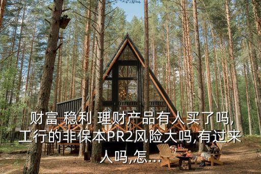  財富 穩(wěn)利 理財產(chǎn)品有人買了嗎,工行的非保本PR2風險大嗎,有過來人嗎,怎...