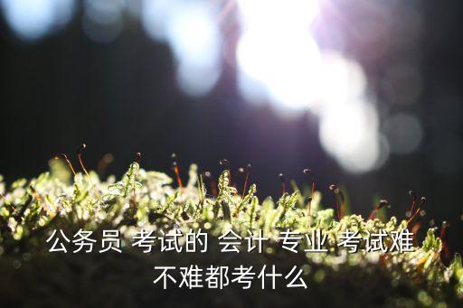 公務員 考試的 會計 專業(yè) 考試難不難都考什么