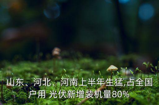 山東、河北、河南上半年生猛,占全國戶用 光伏新增裝機(jī)量80%
