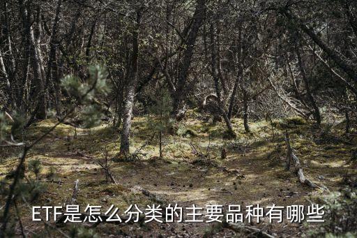 石油etf基金有哪些,石油板塊ETF基金代碼