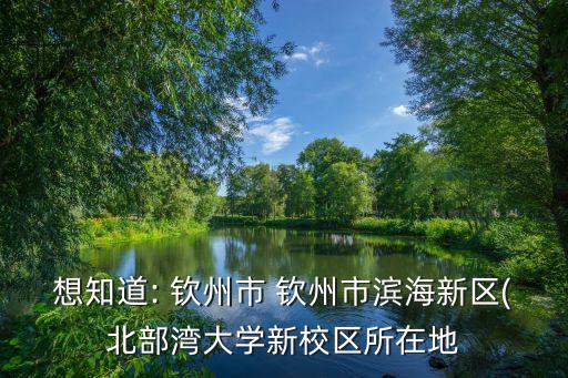 想知道: 欽州市 欽州市濱海新區(qū)(北部灣大學(xué)新校區(qū)所在地