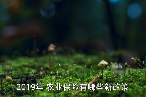2019年 農(nóng)業(yè)保險(xiǎn)有哪些新政策