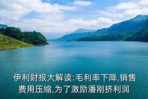  伊利財報大解讀:毛利率下降,銷售費用壓縮,為了激勵潘剛擠利潤