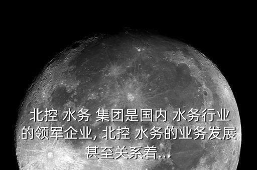 北控水務集團架構,大慶北控水務集團有限公司