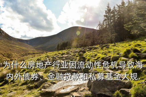 為什么房地產(chǎn)行業(yè)因流動性危機(jī)導(dǎo)致海內(nèi)外債券、金融貸款和私募基金大規(guī)...