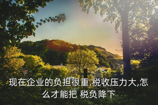 中國稅負為什么那么高