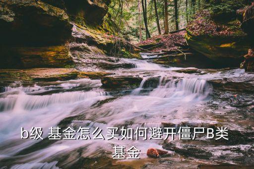 b級基金的風險,混合型基金風險大嗎