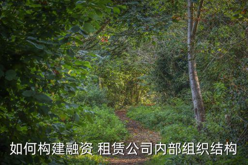 如何構(gòu)建融資 租賃公司內(nèi)部組織結(jié)構(gòu)