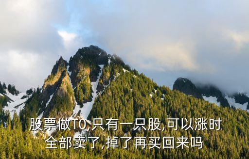  股票做T0,只有一只股,可以漲時(shí)全部賣了,掉了再買(mǎi)回來(lái)嗎