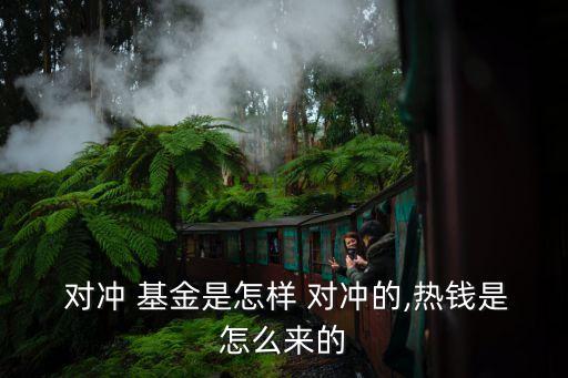  對(duì)沖 基金是怎樣 對(duì)沖的,熱錢是怎么來的