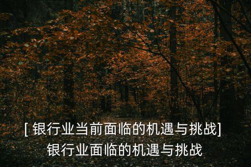 政府對銀行監(jiān)管的未來趨勢
