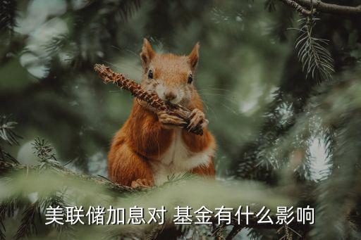 美國基金收益,美國 貨幣基金 收益