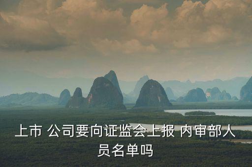 公司內(nèi)審部門(mén)