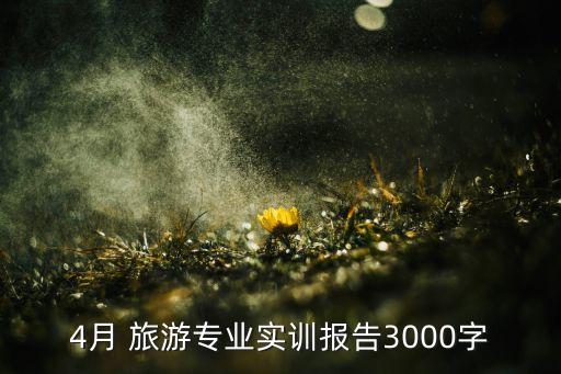 4月 旅游專業(yè)實(shí)訓(xùn)報(bào)告3000字