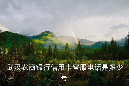  武漢農(nóng)商銀行信用卡客服電話(huà)是多少號(hào)