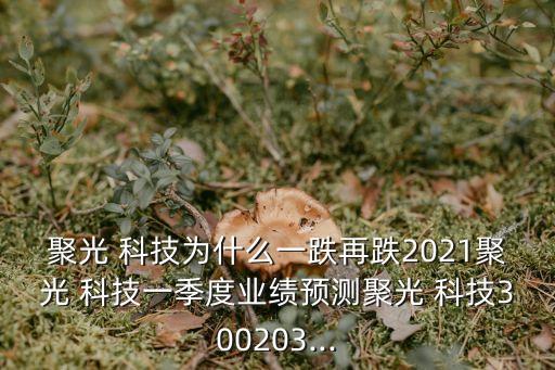 聚光 科技為什么一跌再跌2021聚光 科技一季度業(yè)績預測聚光 科技300203...