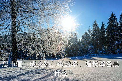 總市值、成交額、市盈率、增長率各是什么