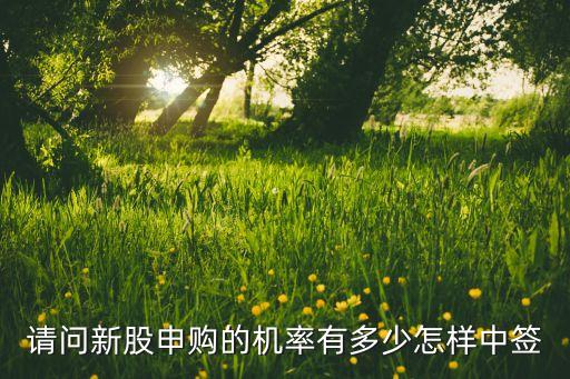 請問新股申購的機(jī)率有多少怎樣中簽