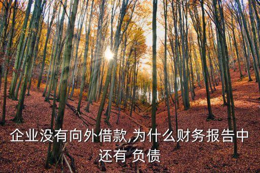 企業(yè)沒有向外借款,為什么財務(wù)報告中還有 負(fù)債