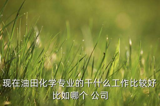 現(xiàn)在油田化學(xué)專業(yè)的干什么工作比較好比如哪個 公司