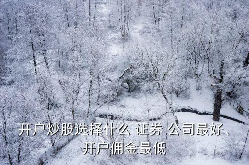 開(kāi)戶炒股選擇什么 證券 公司最好、開(kāi)戶傭金最低