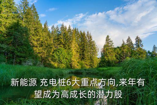新能源 充電樁6大重點(diǎn)方向,來年有望成為高成長(zhǎng)的潛力股