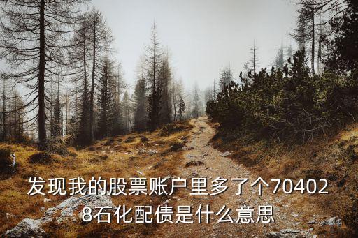 發(fā)現我的股票賬戶里多了個704028石化配債是什么意思