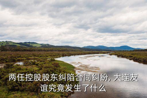 大連液力機械有限公司被收購,大連利明液力機械有限公司