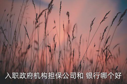入職政府機構(gòu)擔保公司和 銀行哪個好