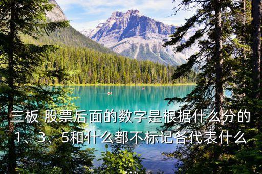 三板 股票后面的數(shù)字是根據(jù)什么分的1、3、5和什么都不標(biāo)記各代表什么...