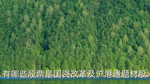 有哪些股票是國(guó)資改革及滬港通題材股