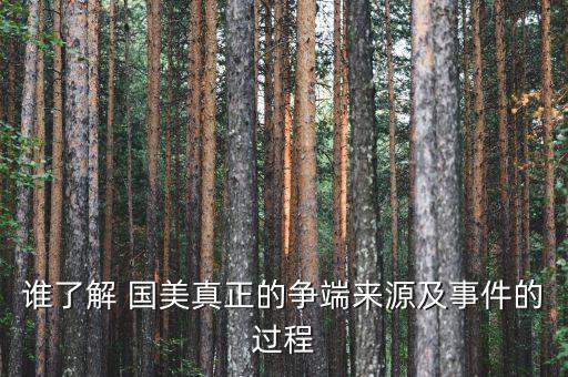 誰了解 國美真正的爭(zhēng)端來源及事件的過程