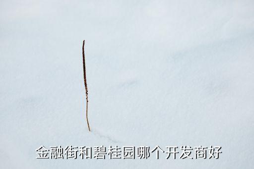 金融街和碧桂園哪個(gè)開發(fā)商好
