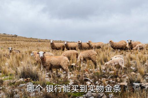 哪個(gè) 銀行能買到實(shí)物金條