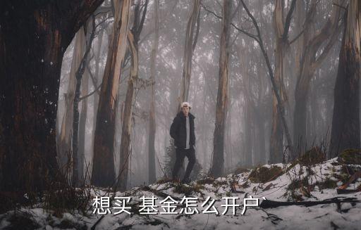想買(mǎi) 基金怎么開(kāi)戶`