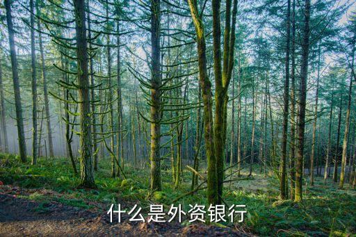 廈門供應(yīng)鏈金融公司,供應(yīng)鏈金融平臺有哪些公司