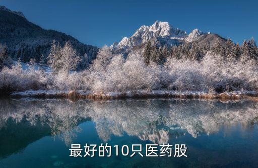 最好的10只醫(yī)藥股