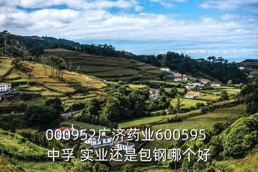 000952廣濟(jì)藥業(yè)600595 中孚 實(shí)業(yè)還是包鋼哪個(gè)好