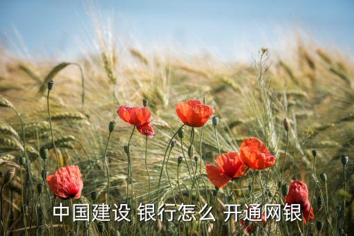 中國建設 銀行怎么 開通網(wǎng)銀