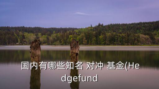  國內(nèi)有哪些知名 對(duì)沖 基金(Hedgefund
