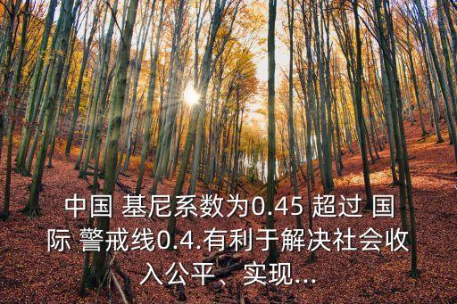 中國 基尼系數(shù)為0.45 超過 國際 警戒線0.4.有利于解決社會(huì)收入公平、實(shí)現(xiàn)...