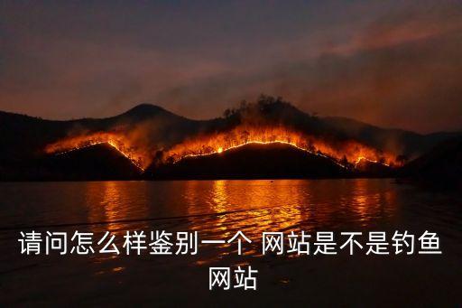 請問怎么樣鑒別一個 網(wǎng)站是不是釣魚 網(wǎng)站